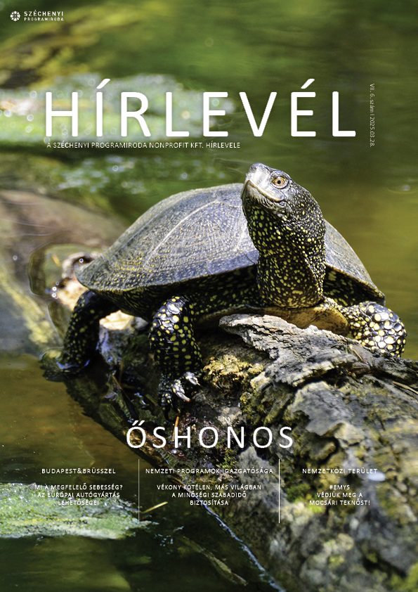 SZPI HÍRLEVÉL 215. SZÁM