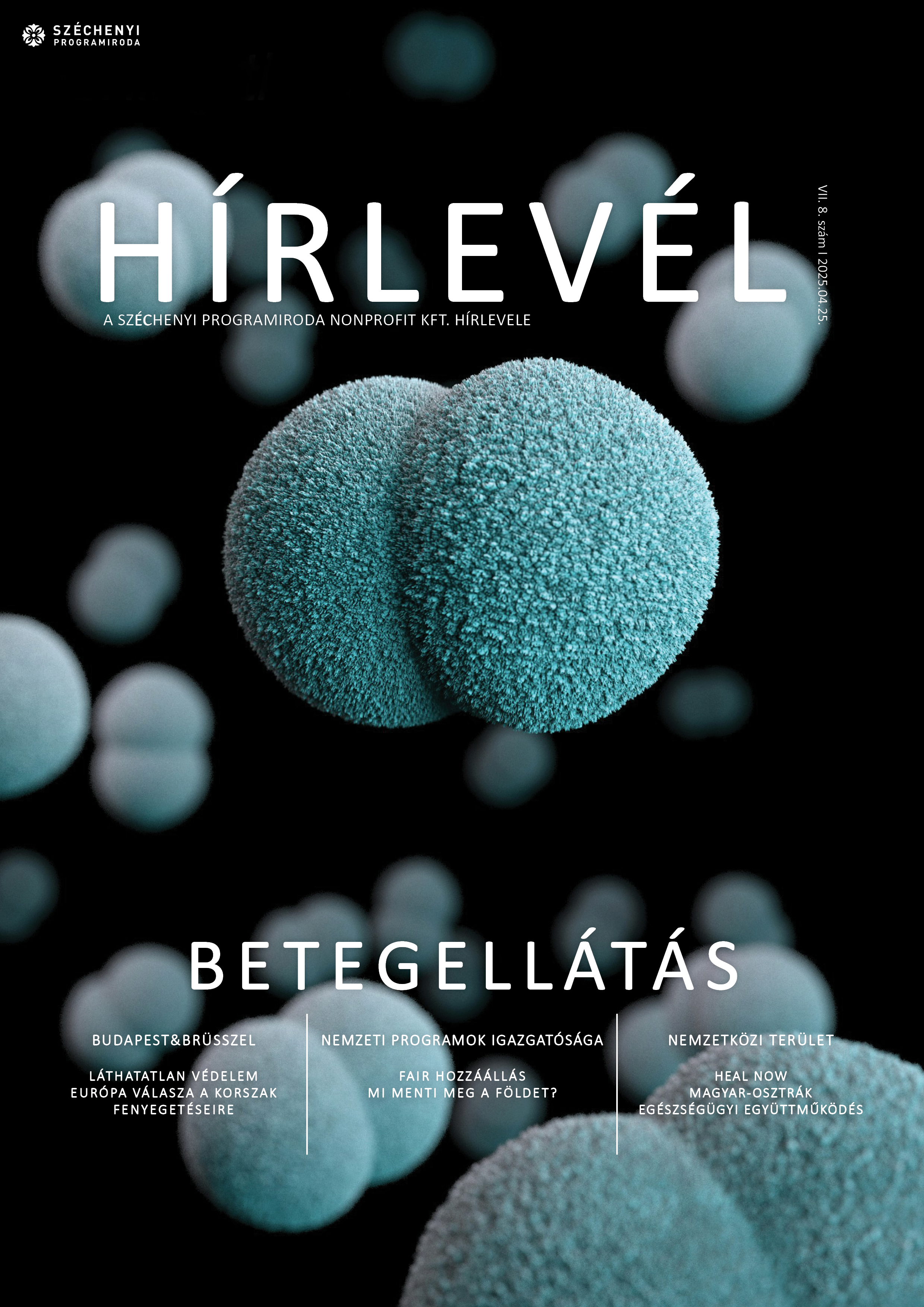 SZPI HÍRLEVÉL 217. SZÁM - Fotó