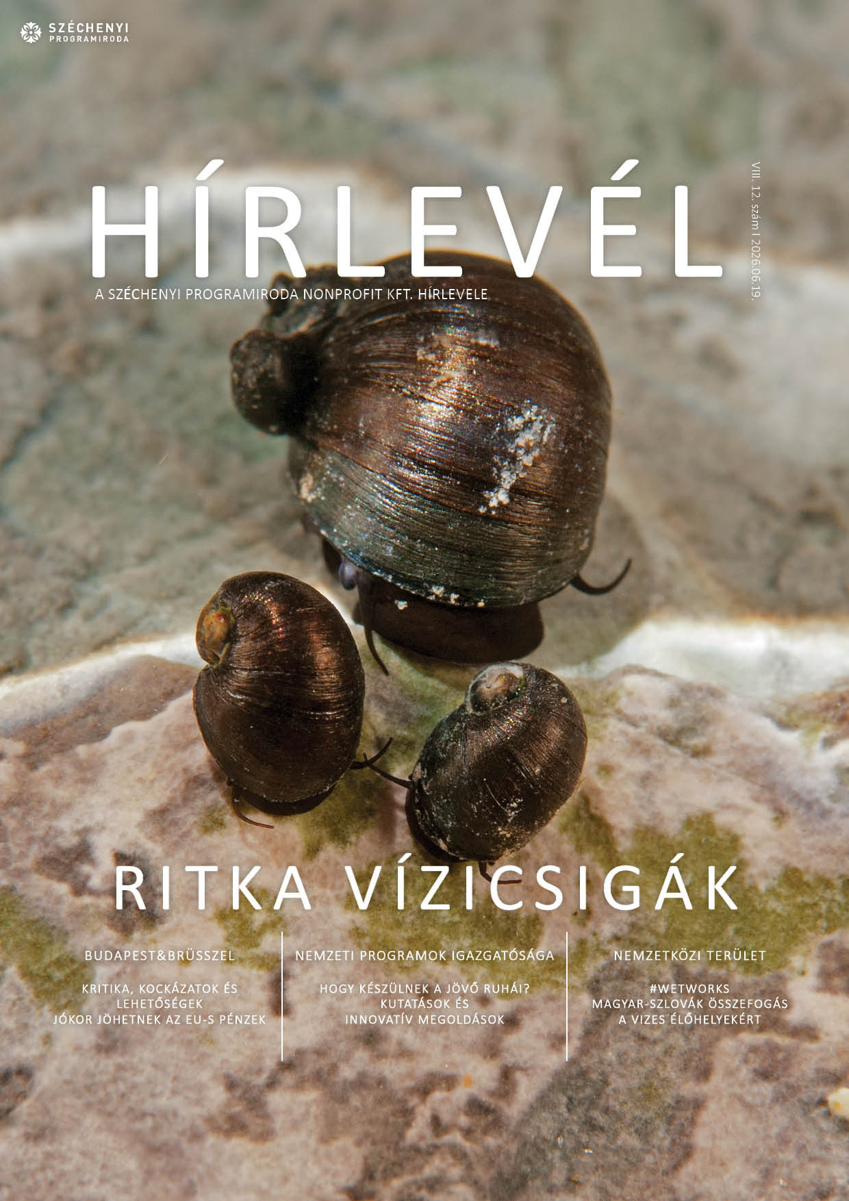 SZPI HÍRLEVÉL 245. SZÁM - Fotó