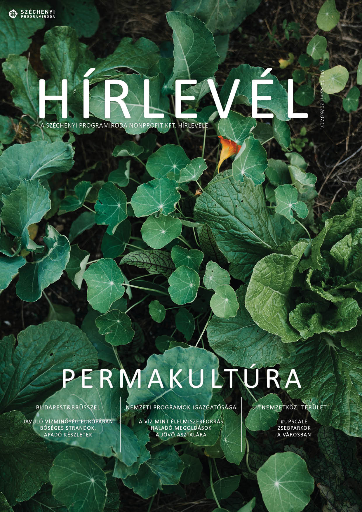 SZPI HÍRLEVÉL 247. SZÁM - Fotó