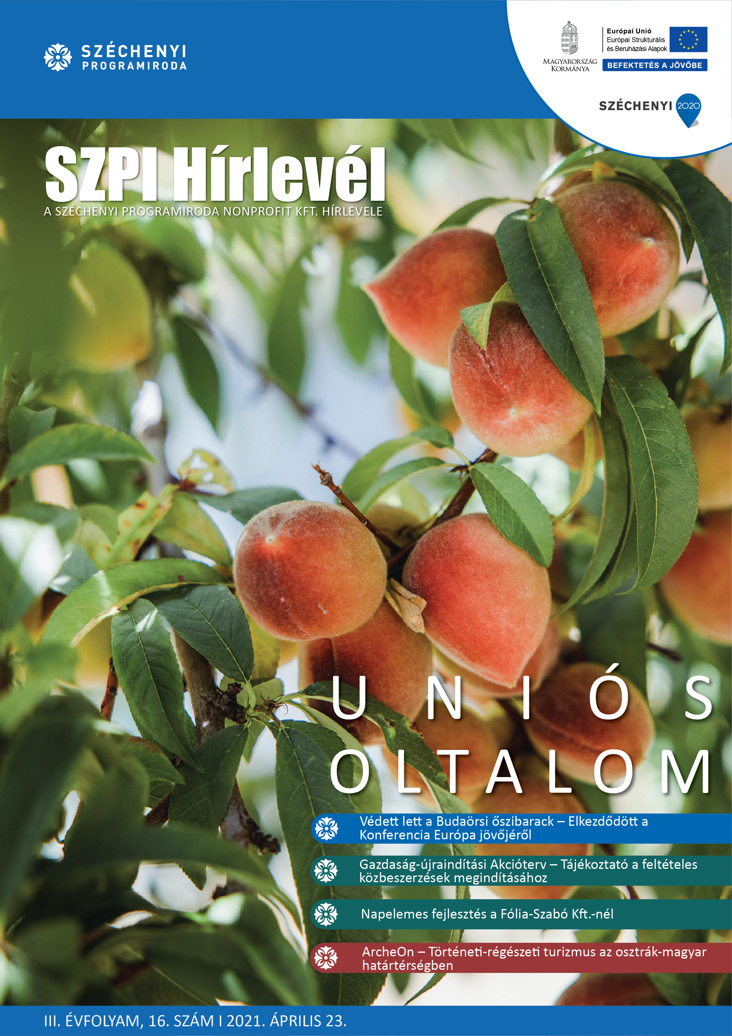 SZPI HÍRLEVÉL 77. SZÁM - Fotó