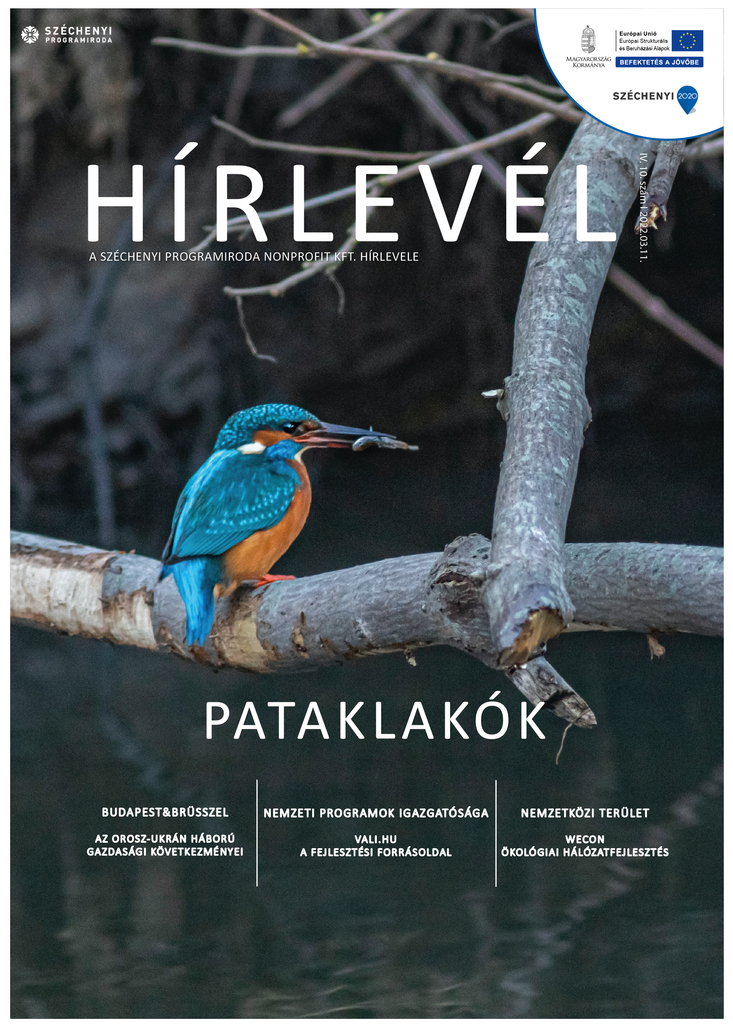 SZPI HÍRLEVÉL 122. SZÁM - Fotó