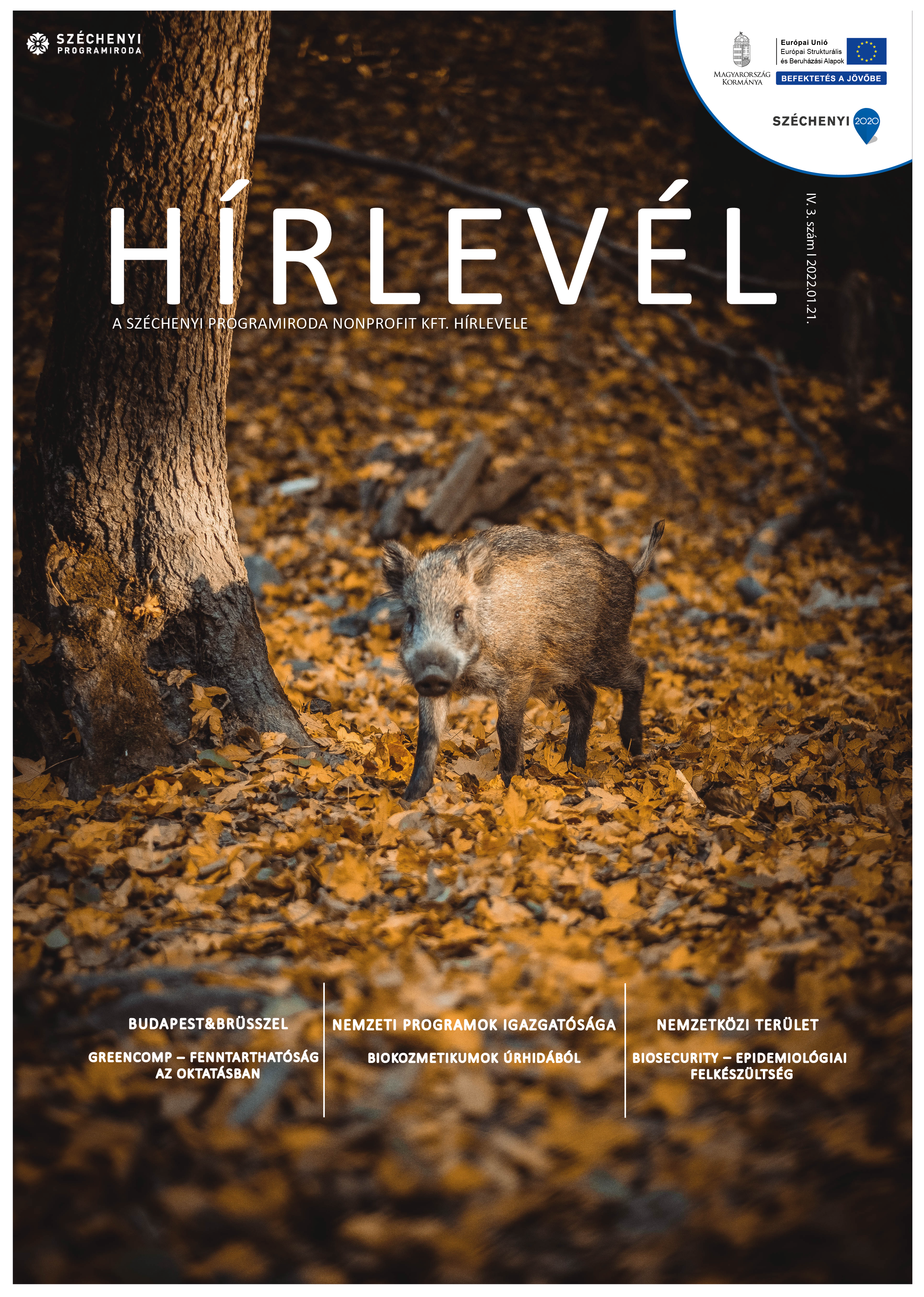 SZPI HÍRLEVÉL 115. SZÁM - Fotó