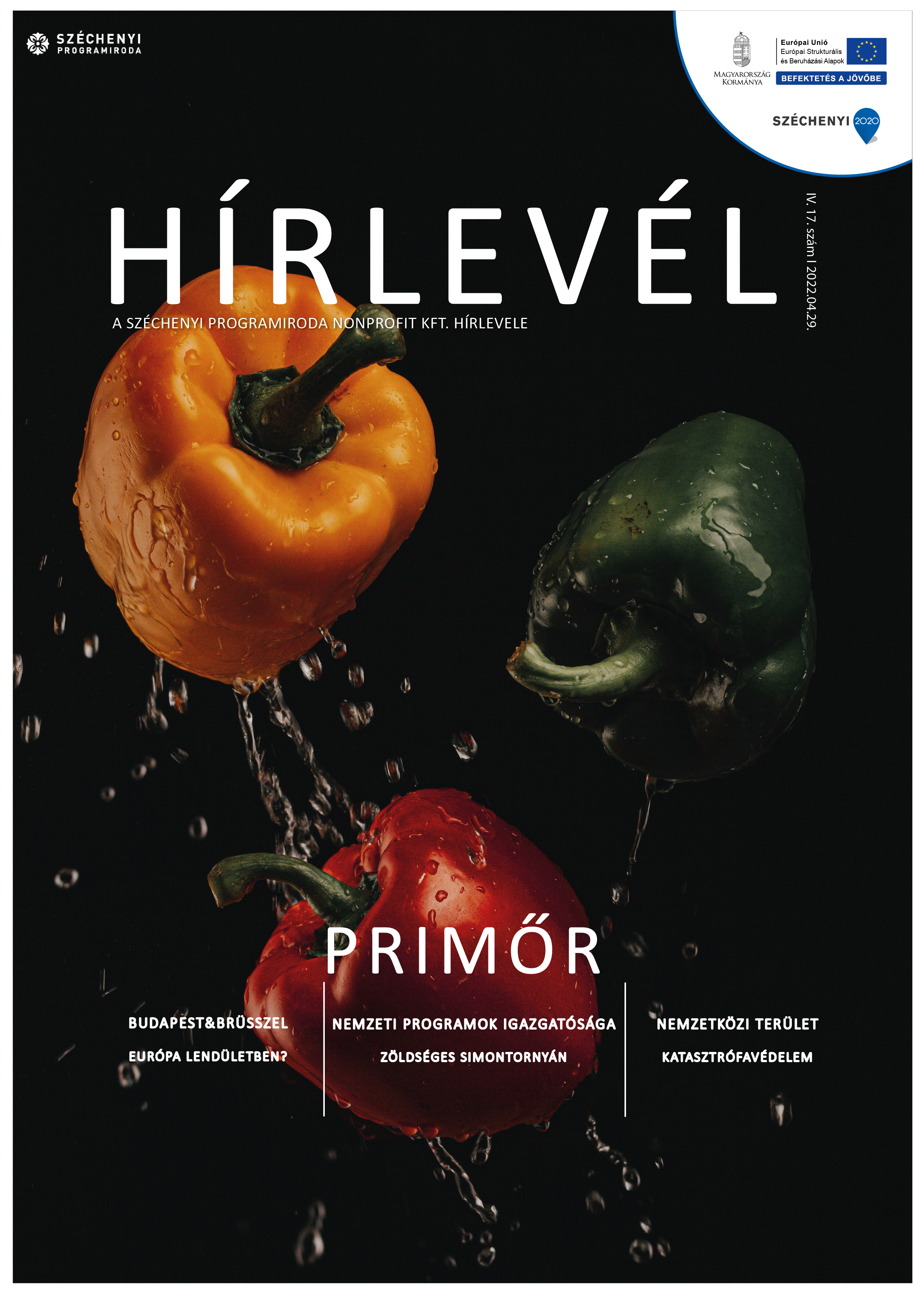 SZPI HÍRLEVÉL 129. SZÁM - Fotó