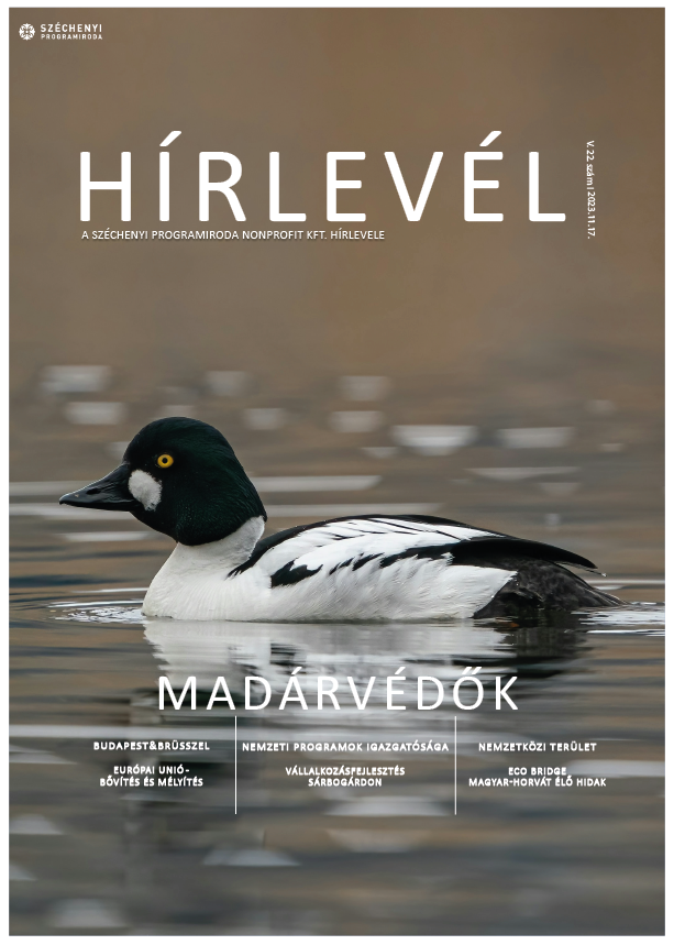 SZPI HÍRLEVÉL 183. SZÁM - Fotó
